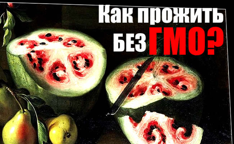 Знакомые нам продукты в их первозданном виде familiar foods gmo