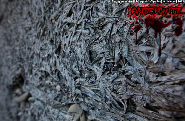 Auschwitz14