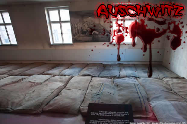 Auschwitz3