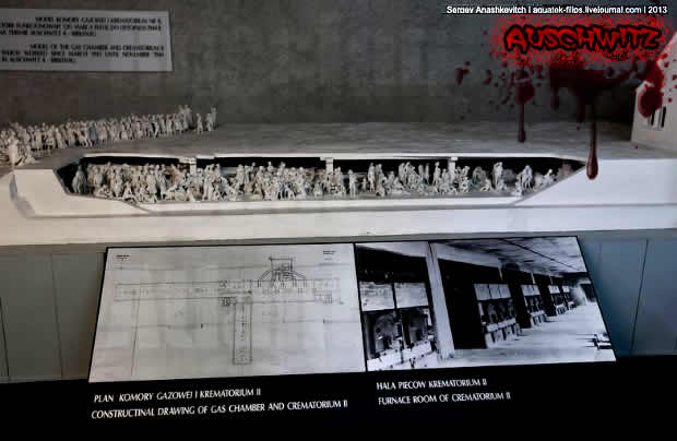 Auschwitz30