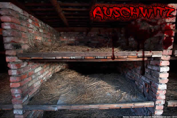 Auschwitz4