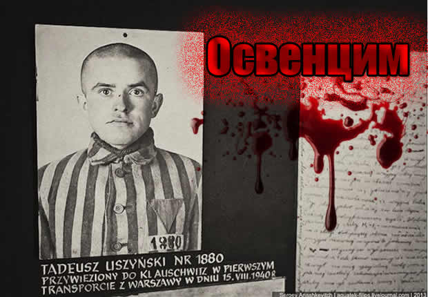 Auschwitz tadeush uzhinsky