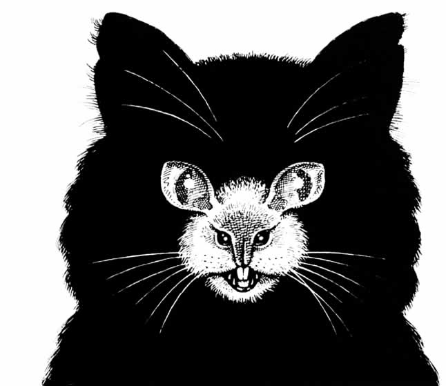 illusion cat