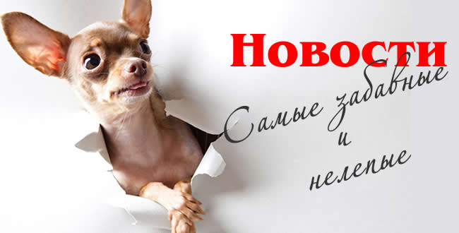 Самые забавные и нелепые новости уходящего 2014-го года jok news