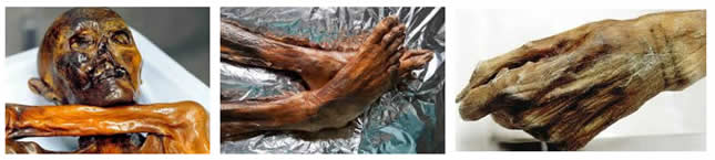 татуировки Эци tatu eci