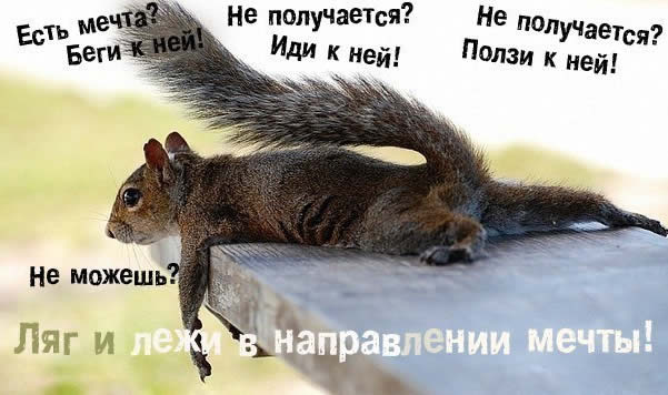 humor dream
