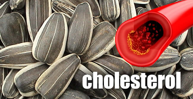 Диета для нормализации уровня холестерина semechki cholesterol