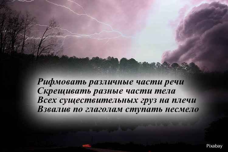ГАРАНИН Дмитрий: ВОЛЬНОСТЬ ИЗРЕЧЕНИЯ