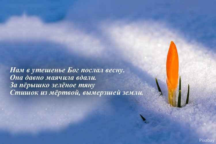 НА ШАРИКЕ РАСТРЕСКАВШЕМСЯ