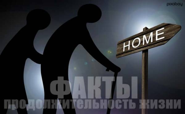 Интересные факты